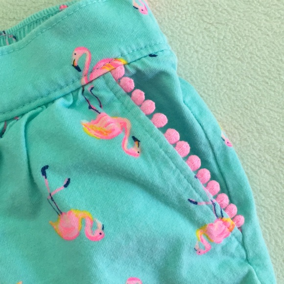 🦩Blue and Pink Flamingo Shorts with Pink Pom-pom Trim by OshKosh B'Gosh 🦩 - Picture 3 of 11